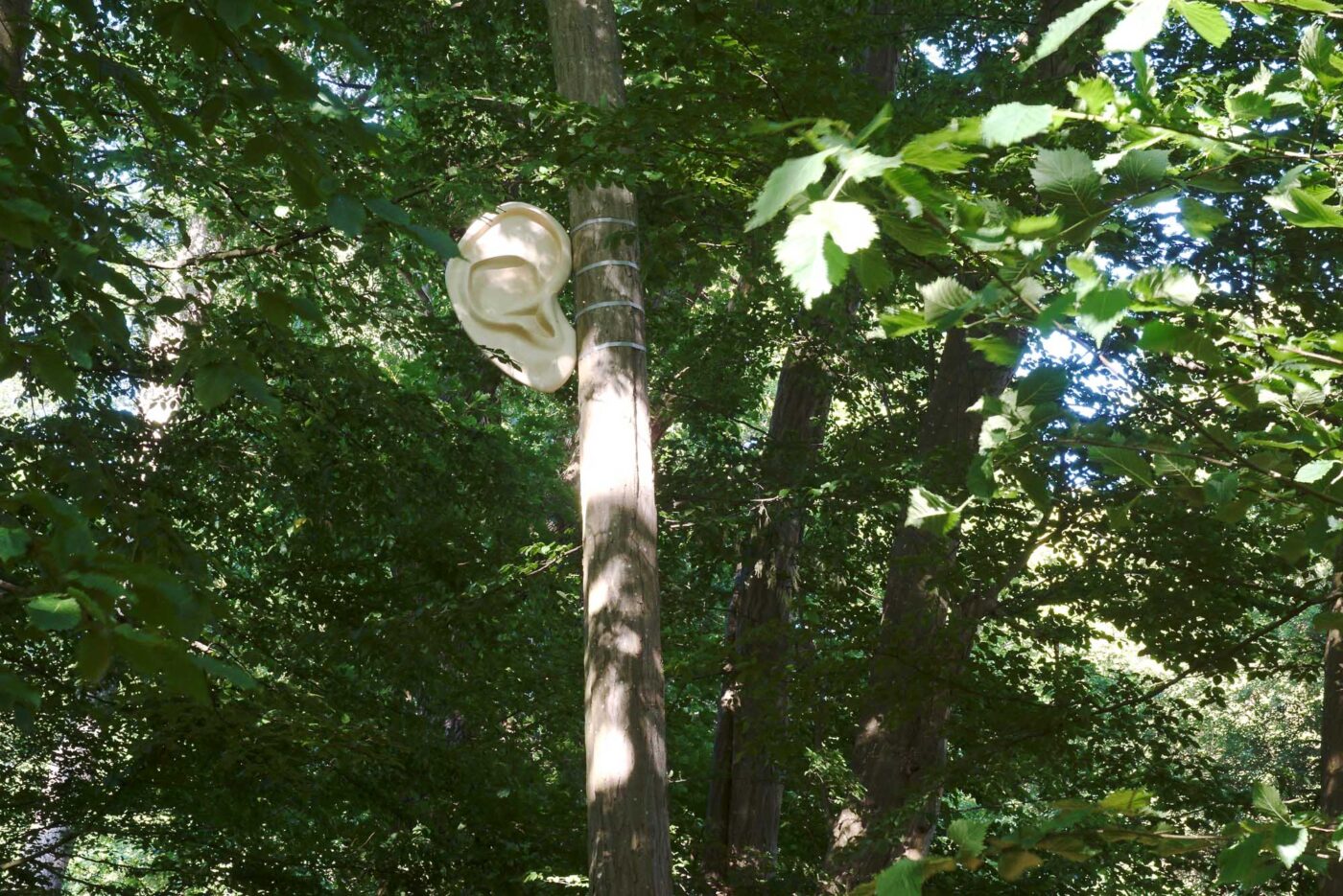 outdoor installation